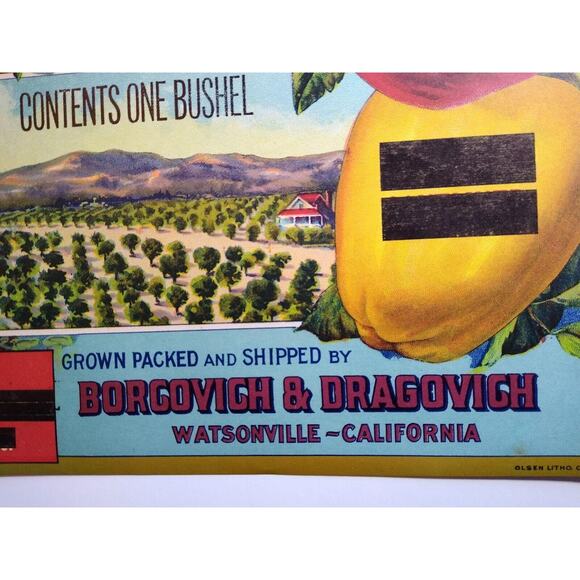 Appleton Apples Fruit Crate Label Art Nouveau Women Rose Original Vintage 1920's - Picture 4 of 5